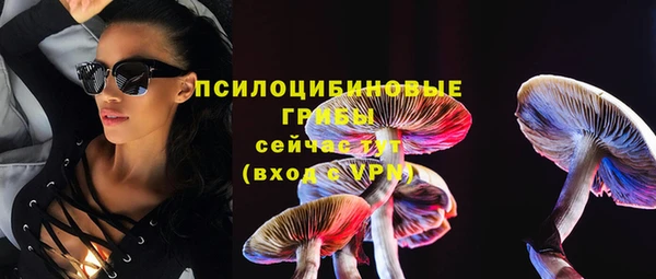 PSILOCYBIN Алзамай
