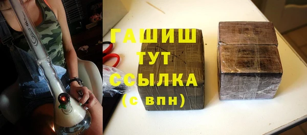 PSILOCYBIN Алзамай